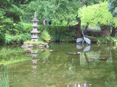 Japanese Garden