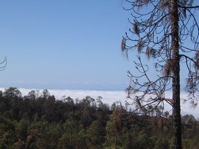 Look at the clouds from above