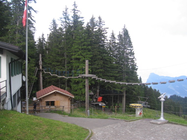 The climbing garden