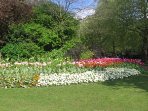 Flowers in St.James Park