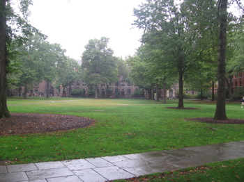 At Yale University in New Haven